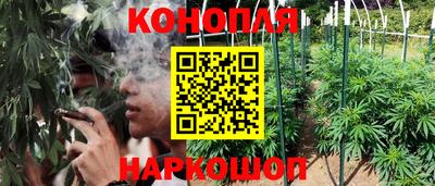 прущие крисы Пугачёв