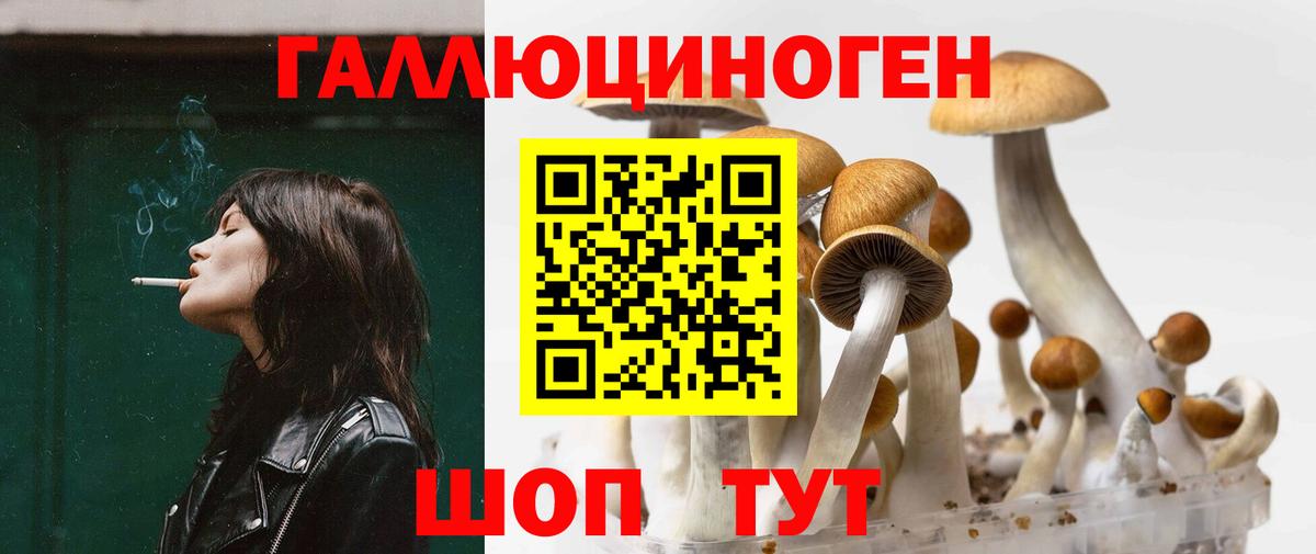 Галлюциногенные грибы Cubensis  Галлюциногенные грибы Magic Shrooms  Вход с VPN  закладка  Прокопьевск 